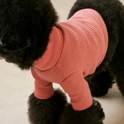 Small Stuff Ribbed Turtleneck Tee Pink Wear