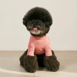 Small Stuff Ribbed Turtleneck Tee Pink Wear