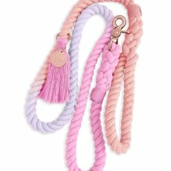 Notyers Sunset Leash Walk