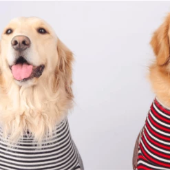 Monchouchou Easy Fit All-In-One Wear