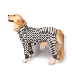 Monchouchou Easy Fit All-In-One Wear