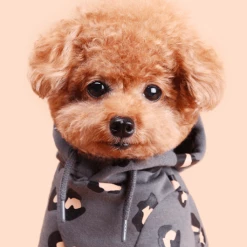 Huts And Bay Leopard Hoodie Grey