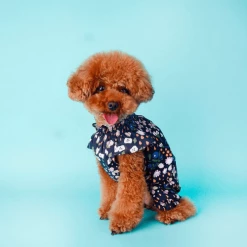 Little Collin Flower Frill Overall Navy Wear