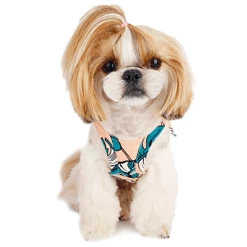 Little Collin Tropical Summer Dress Peach Wear