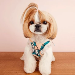 Little Collin Tropical Summer Dress Peach Wear