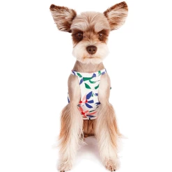 Little Collin Wear Flower Halter Neck Top