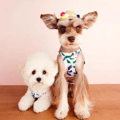 Little Collin Wear Flower Halter Neck Top