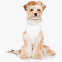 Betters Run Sleeveless Tee