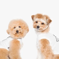 Betters Run Sleeveless Tee