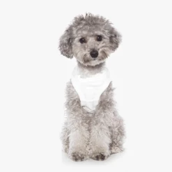 Betters We Sleeveless Tee