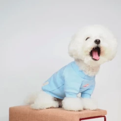 Gnocchi And Goma Into The Sky Sweater Wear