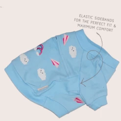 Gnocchi And Goma Into The Sky Sweater Wear