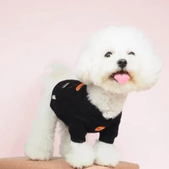 Gnocchi And Goma Wear Space Traveller Sweater