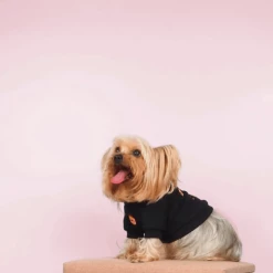 Gnocchi And Goma Wear Space Traveller Sweater