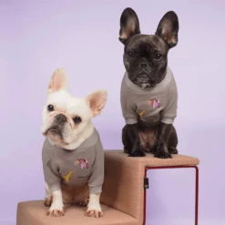 Gnocchi And Goma Wear Origami Jungle Sweater