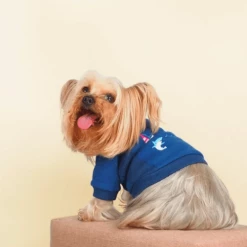 Gnocchi And Goma Some Fin Dangerous Sweater