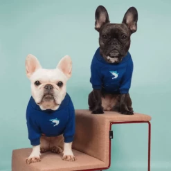 Gnocchi And Goma Some Fin Dangerous Sweater