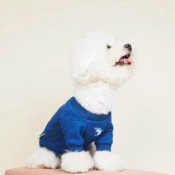 Gnocchi And Goma Some Fin Dangerous Sweater