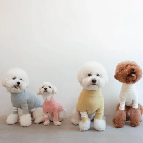 Best Sale ✨ Dentists Appointment Stripe Point Turtleneck Olive 🛒 10 Dentists Appointment Stripe Point Turtleneck Olive