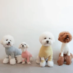 Dentists Appointment Wear Stripe Point Turtleneck Pink