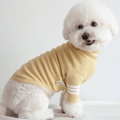 Dentists Appointment Stripe Point Turtleneck Olive