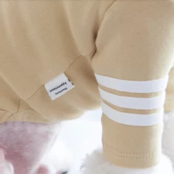 Best Sale ✨ Dentists Appointment Stripe Point Turtleneck Olive 🛒 13 Dentists Appointment Stripe Point Turtleneck Olive