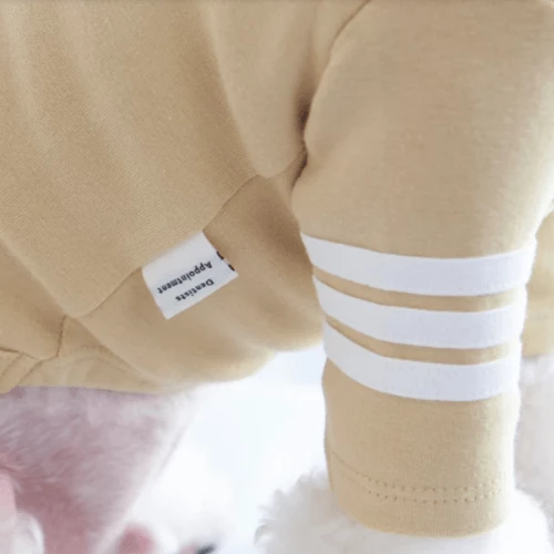 Best Sale ✨ Dentists Appointment Stripe Point Turtleneck Olive 🛒 6 Dentists Appointment Stripe Point Turtleneck Olive