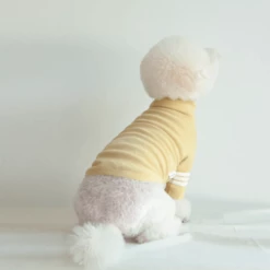 Best Sale ✨ Dentists Appointment Stripe Point Turtleneck Olive 🛒 12 Dentists Appointment Stripe Point Turtleneck Olive