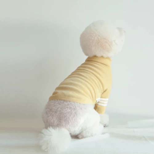 Best Sale ✨ Dentists Appointment Stripe Point Turtleneck Olive 🛒 5 Dentists Appointment Stripe Point Turtleneck Olive