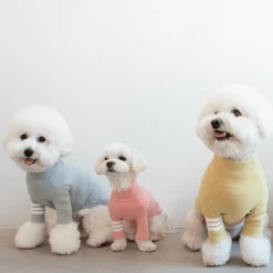 Dentists Appointment Wear Stripe Point Turtleneck Pink