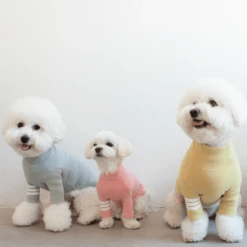 Best Sale ✨ Dentists Appointment Stripe Point Turtleneck Olive 🛒 15 Dentists Appointment Stripe Point Turtleneck Olive