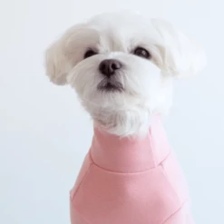 Dentists Appointment Wear Stripe Point Turtleneck Pink