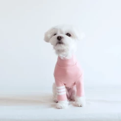 Dentists Appointment Wear Stripe Point Turtleneck Pink