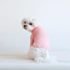 Dentists Appointment Wear Stripe Point Turtleneck Pink