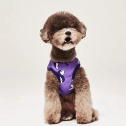 And Blank Lucky Swallow Tank