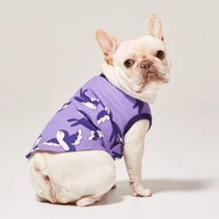 And Blank Lucky Swallow Tank