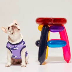 And Blank Lucky Swallow Tank