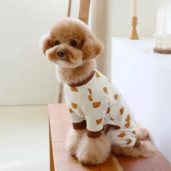 Joy! Teddy Bear Onesie Ivory Wear