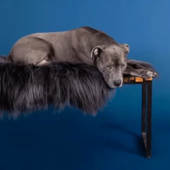 Velvet Hippo Live Asher Throw - Dark Grey