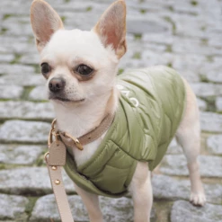 Overglam Sleeveless Bottom Up Vest Outerwear