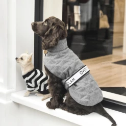 Overglam Logo Cappa Jacket