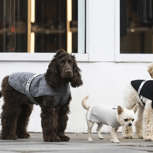 Hot Sale ⌛ Overglam Logo Cappa Jacket 🔥 7 Overglam Logo Cappa Jacket