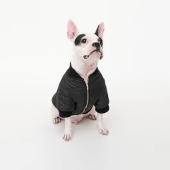 Cote A Cote Puffy Jacket Black