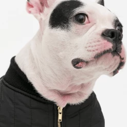 Cote A Cote Puffy Jacket Black