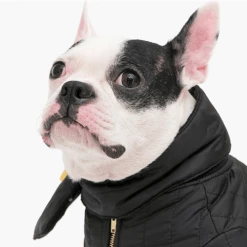 Cheapest ๐ Cote A Cote Bandanas And Scarves Puffy Scarf Black ๐ 6 Cote A Cote Bandanas And Scarves Puffy Scarf Black