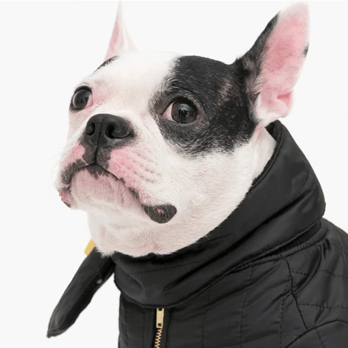 Cheapest ๐ Cote A Cote Bandanas And Scarves Puffy Scarf Black ๐ 4 Cote A Cote Bandanas And Scarves Puffy Scarf Black