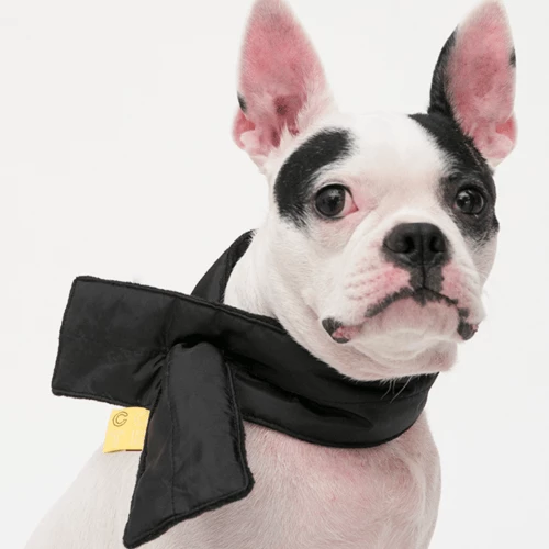 Cheapest ๐ Cote A Cote Bandanas And Scarves Puffy Scarf Black ๐ 2 Cote A Cote Bandanas And Scarves Puffy Scarf Black