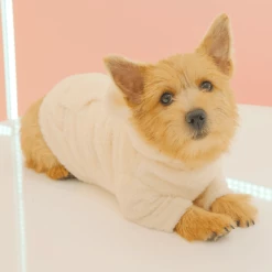 Hey Jerry Wear Teddy Bear Fur Hoodie Cream