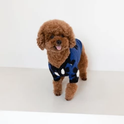 Cote A Cote Wear Daisy Cardigan Blue