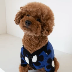 Cote A Cote Wear Daisy Cardigan Blue